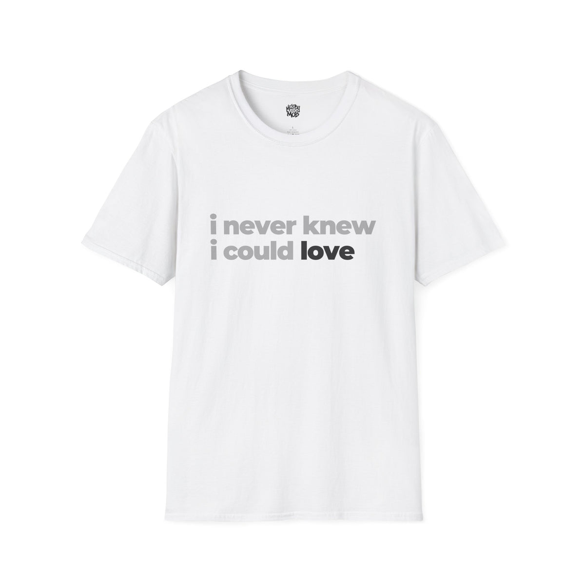 I Never Knew I Could Love Romantic Slogan T-Shirt | Unisex Love Quote Tee